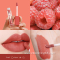 Custom Private Label Vegan Matte Wholesale Lip Gloss